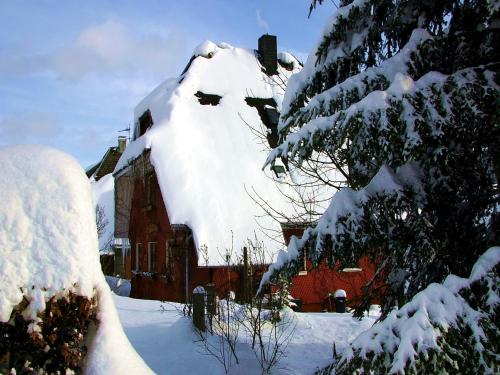 Haus am Tannenhain picture 3