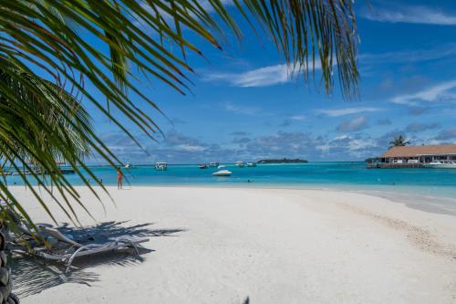 古雷德胡Holiday Inn Resort Kandooma Maldives - Kids Stay & Eat Free and DIVE FREE for Certified Divers for a minimum 3 nights stay的海滩上设有两张躺椅,大海上设有