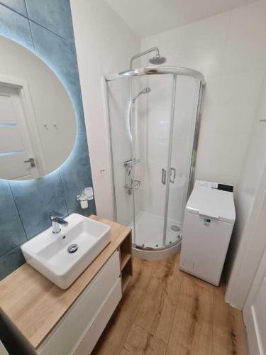 姆热日诺Apartament CARO的带淋浴和白色盥洗盆的浴室