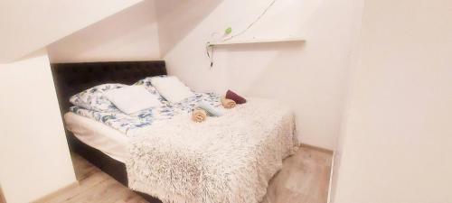 卡尔帕奇Apartament z widokiem.的一间卧室,配有一张带两个泰迪熊的床