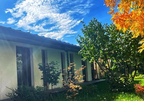 蒂米什瓦拉#outofboxproject tiny-home and garden house的院子里有树的房子