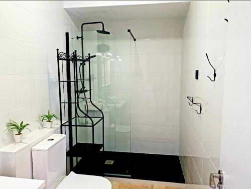 塞维利亚LHome的带淋浴、卫生间和盥洗盆的浴室