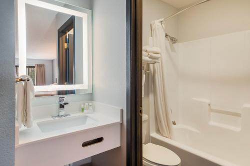 安大略安大略红狮酒店的一间带水槽、卫生间和镜子的浴室