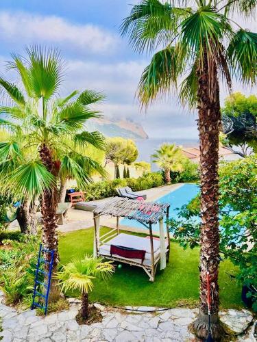 卡西斯Astoria Villa maison d hôtes Appartement vue mer avec piscine的游泳池旁两棵棕榈树之间的吊床