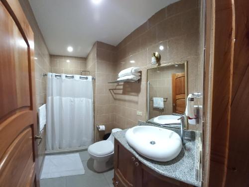 里瓦斯GRAN HOTEL VICTORIA的一间带水槽、卫生间和淋浴的浴室