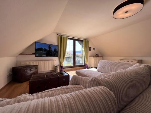 奥泊维森塔尔阿尔皮娜阿泊文森特山林小屋的客厅设有两张沙发和一个大窗户