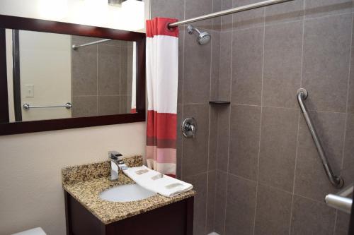巴达维亚巴达维亚红屋顶酒店的浴室配有盥洗盆和带镜子的淋浴