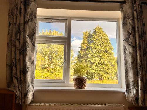 牛津Luxurious double bedroom, ensuite with free Wifi.的窗台上装有盆栽植物的窗户