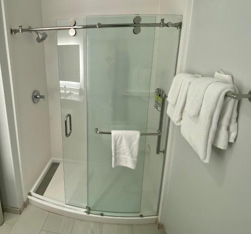 达洛尼加Holiday Inn Express & Suites - Dahlonega - University Area, an IHG Hotel的一间带玻璃淋浴间和毛巾的浴室