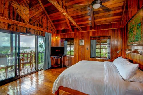 科罗尔Palau Carolines Resort的一间卧室配有一张床和一台电视