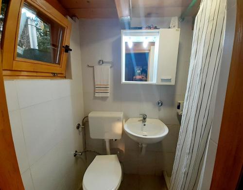 维索科Obiteljski Apartman Borovi的一间带卫生间和水槽的小浴室