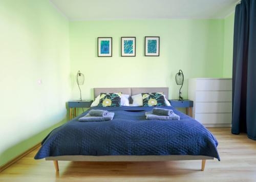 杜什尼基-兹德鲁伊Apartament Rosiczka的一间卧室配有一张带蓝色棉被的床