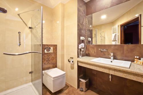 扎莫希奇阿蒂斯Spa酒店的浴室配有卫生间、盥洗盆和淋浴。