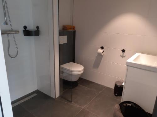 哈克斯卑尔根Het Tuffel Huuske ( Het Aardappelhuisje )的一间带卫生间和水槽的小浴室