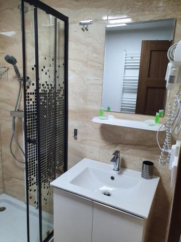 古拉哈莫卢洛伊Casa Saga的浴室配有盥洗盆和带镜子的淋浴