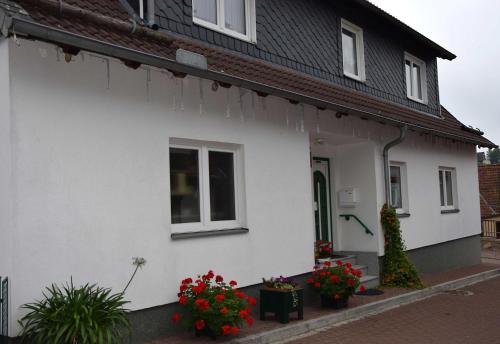 本讷肯施泰因Ferienwohnung "Loni"的白色房子的一侧有鲜花