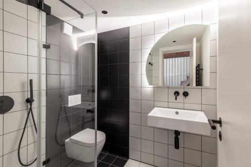 柏林Black White 44sqm 2room maisonette apt near center的一间带卫生间、水槽和镜子的浴室