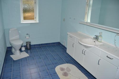 BredebroMotel Lido的一间带卫生间和水槽的浴室
