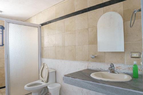 蒙特雷Access Blue Cristal的一间带水槽和卫生间的浴室