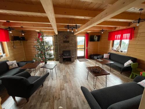 索克莱克Agroturystyka Wudarsówka的带沙发和圣诞树的客厅