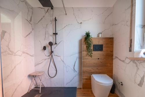 维罗纳Shiny Home Verona的带淋浴和卫生间的浴室