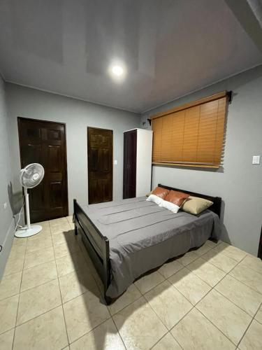 福尔图纳Beautiful & Economic Apartment in La Fortuna Town的一间卧室设有一张床、一个窗口和风扇