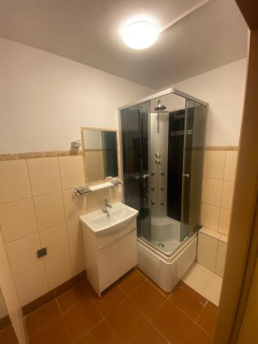 华沙Pokoje Bora-Komorowskiego的带淋浴和盥洗盆的浴室