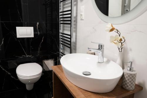 特伦钦温泉镇Hotel DSZSU的浴室配有白色水槽和卫生间。