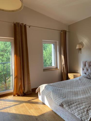 帕兰加Bella luna vila Palanga with forest view的一间卧室设有一张床和两个窗户。