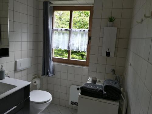格拉弗瑙Ferienhaus Nienaber的一间带卫生间和窗户的浴室