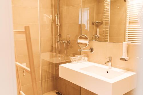 SuhopoljeDvorac Janković的浴室配有白色水槽和淋浴。