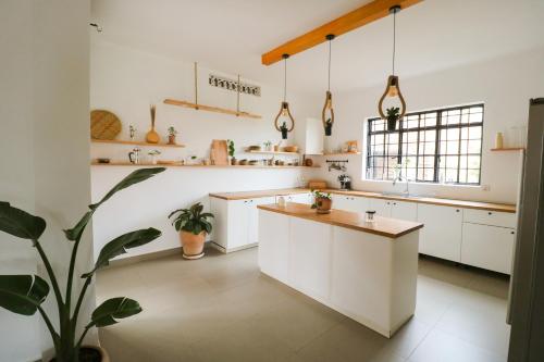 基加利Cozy Stays Kigali的厨房配有白色橱柜和盆栽植物