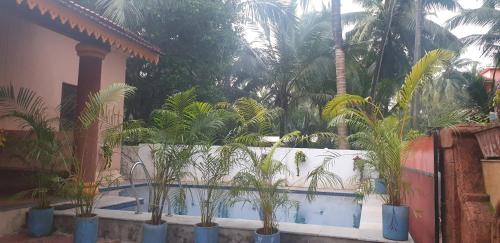 帕拉HERITAGE 7BHK VILLA WITH PRIVATE POOL close to BAGA BEACH的游泳池前的一大堆棕榈树