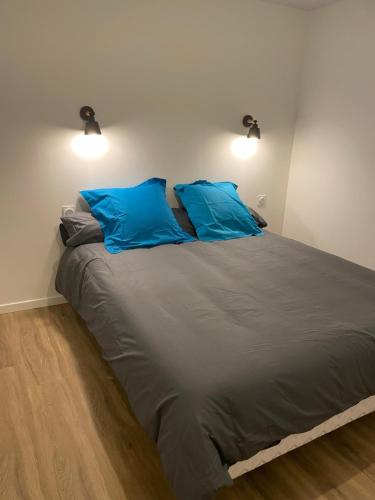 韦尼雪Résidence Pelloutier Appartement E的卧室内的一张大床,配有两个蓝色枕头