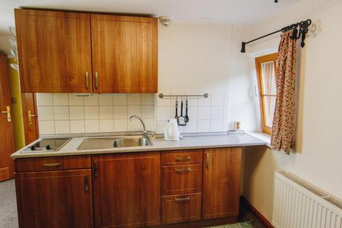 莱奥冈Haus Blueberry - Baranek Resorts的一个带木制橱柜和水槽的厨房