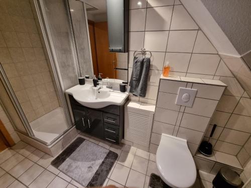 海德M&D ISKA VERMIETUNG的一间带水槽和卫生间的小浴室
