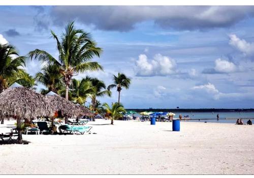 博卡奇卡Terrazas del Caribe, Boca Chica.的海滩上,有椅子和棕榈树,还有大海