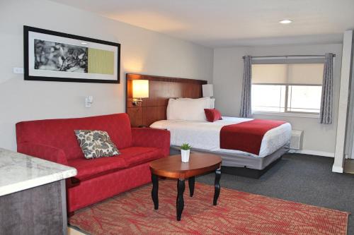 阿拉莫萨Bell & Main Alamosa Studio Suite-Walking distance to downtown的酒店客房,配有一张床和一张红色的沙发
