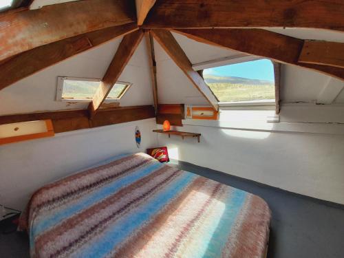圣克鲁斯-德特内里费Climbing Suite with sky windows !的一间带床的卧室,位于带窗户的房间内