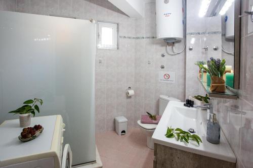 尼亚普拉莫斯Holiday House Ioanna的一间带水槽和卫生间的浴室