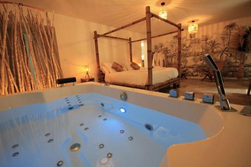 阿维尼翁La Maison de l'Olivier的配有床的房间的大浴缸