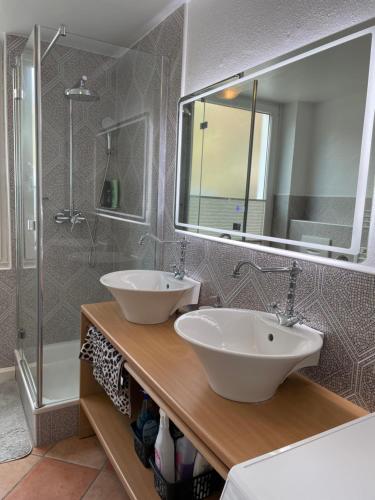 巴登-巴登Black Forest Apartment的一间带两个盥洗盆和淋浴的浴室