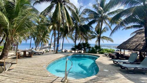 圣佩德罗加勒比别墅酒店的棕榈树和海洋海滩上的游泳池