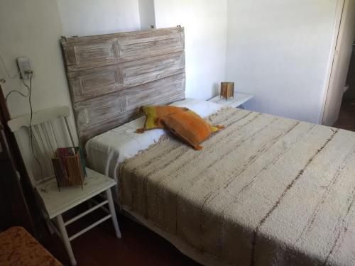 塔菲德尔瓦勒la Casa de Susana的一间卧室配有一张大床和一把椅子