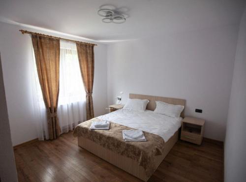 莱斯诺夫Casa Diana Rasnov的一间卧室设有一张床和一个窗口