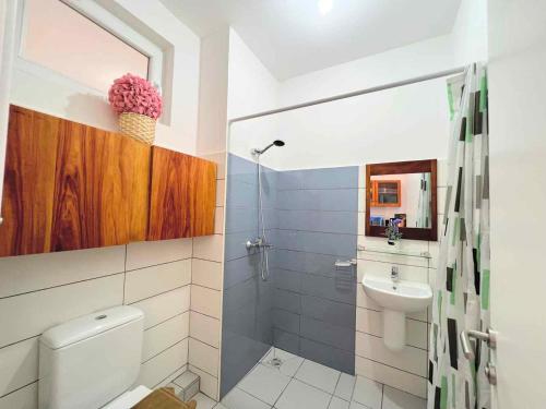 DambaniHomerent @ Fumba-Town的一间带卫生间和水槽的浴室