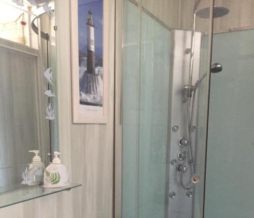拉特斯特德布赫LA MAISON DES HIPPOCAMPES的带淋浴的浴室和玻璃淋浴间