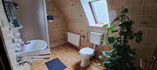 阿尔特瑙格伦霍夫阿尔特瑙酒店的一间带水槽、卫生间和植物的浴室