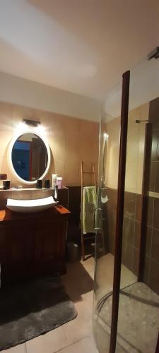 卡尔卡松La Bastide du Canal的带淋浴、盥洗盆和镜子的浴室