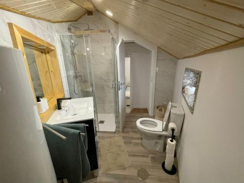 阿尔库什迪瓦尔德维什Casinha da fonte的浴室配有卫生间、淋浴和盥洗盆。